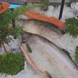 В Дагестане обновили региональное законодательство об аквакультуре. Архивное фото