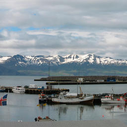 Исландские рыболовные суда. Фото с Flickr
