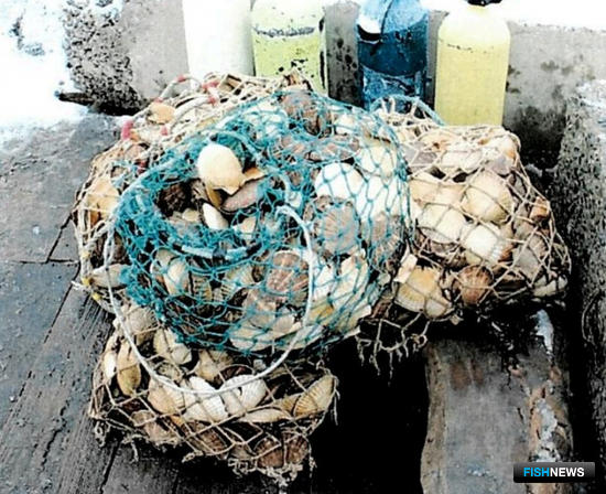 Около 2 тыс. незаконно добытых гребешков изъяли у браконьеров в бухте Шепалово. Фото пресс-службы Управления на транспорте МВД России по ДФО