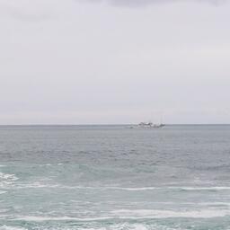 Фонд рыбной отрасли Всемирной торговой организации утвердил первые гранты в размере 2,9 млн долларов для развивающихся и наименее развитых стран