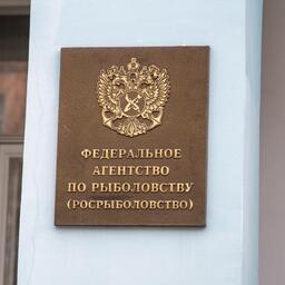 Росрыболовство распределило по предприятиям объемы для освоения в рыболовной зоне Фарерских островов и районе регулирования НАФО