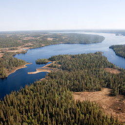 Нерестоохраные полосы лесов выполняют важные защитные функции, в том числе водо- и рыбоохранные. Фото Алексея Веселова