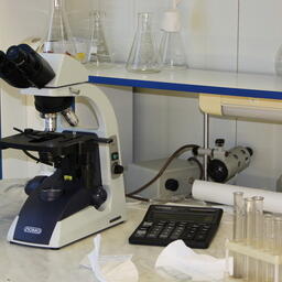 Дальневосточные химики выделили из полярной морской звезды вещества, способные защищать клетки сердечной мышцы. Архивное фото