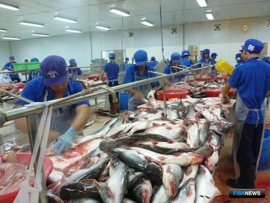 С января по ноябрь экспорт рыбы и морепродуктов из Вьетнама составил 8,1 млрд долларов. Фото Viet Nam News