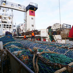 Работа рыбаков на Дальнем Востоке. Фото пресс-службы «Океанрыбфлота»
