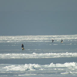 Рыболовам напоминают о правилах безопасности на льду. Фото предоставлено Главным управлением МЧС России по Приморскому краю