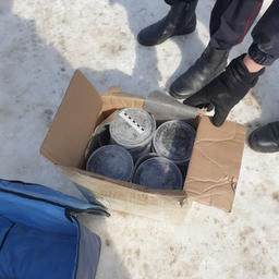 Общий вес деликатеса, найденного в остановленной машине, составил 23 кг. Фото пресс-службы УМВД России по Хабаровскому краю