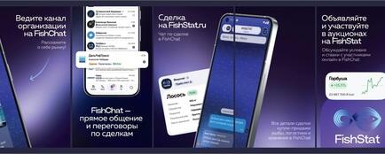На платформе «Фишстат» собрали полезные инструменты для тех, кто работает на рыбном рынке, в одном месте. Иллюстрация предоставлена командой Fishstat