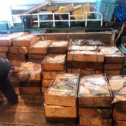 По данным пограничников, на борту нашли неучтенную рыбопродукцию. Фото пресс-службы Пограничного управления ФСБ России по Сахалинской области