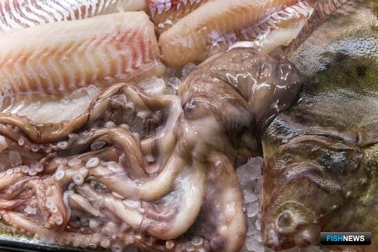 Рыба и морепродукты обеспечивают весомый вклад в экспорт российского АПК