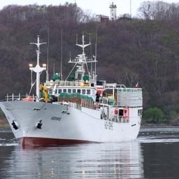 Специализированный флот ПБТФ пополнило судно «Леопард». Фото пресс-службы ПБТФ
