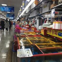 Рыбный рынок в Южной Корее. Архивное фото