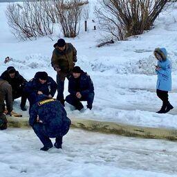 Специалисты Северного филиала Главрыбвода к концу зимы выпустили реку Онега более 50 тыс. экземпляров молоди кумжи. Фото пресс-службы филиала