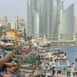Рыбацкие суда в Пусане. Архивное фото