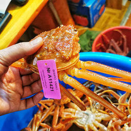 Крабы-стригуны опилио, пойманные учеными в Карском море. Фото пресс-службы ВНИРО