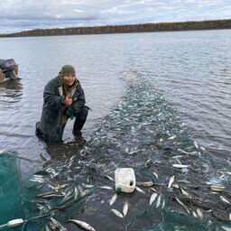 Ученые ЯкутскНИРО провели наблюдения за промыслом. Фото пресс-службы филиала