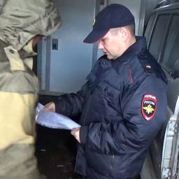 Задержанных доставили в отделение полиции. Фото пресс-службы УМВД России по Приморскому краю