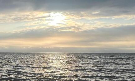 В Дальневосточной рыбопромышленной управляющей компании прокомментировали поправки о возвращении государству квот без торгов