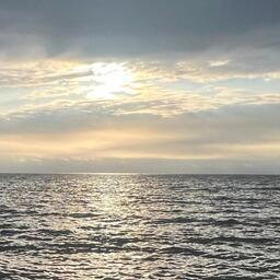 В Дальневосточной рыбопромышленной управляющей компании прокомментировали поправки о возвращении государству квот без торгов