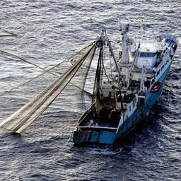 Гринпис бьет тревогу из-за применения дрифтерных сетей в Индийском океане. Фото пресс-службы экологической организации