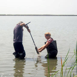 Гидробиологи отбирают пробы бентоса в Кизлярском заливе. Фото пресс-службы КаспНИРХ