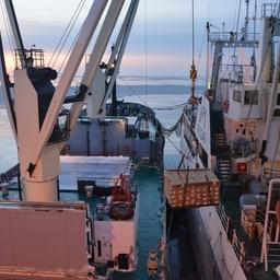 Перегруз рыбопродукции в море. Фото пресс-службы «Океанрыбфлота»