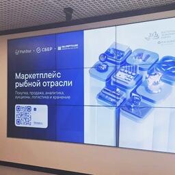 Презентацию платформы FishStat на ВЭФ провели директор по развитию сервиса Екатерина ПОДЛЕССКИХ и генеральный директор «Фишстат» Евгений ЧИЖ