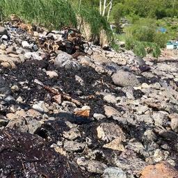 По предварительным оценкам Росприроднадзора, загрязнено около 400 м берега. Фото пресс-службы МЧС России