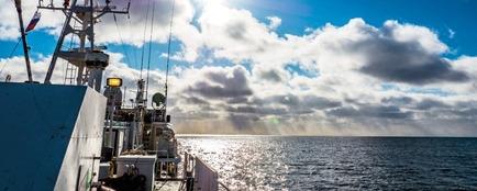 Сотрудники «Востока-1» совместно со специализированными организациями фактически создали новые типы судов для глубоководного промысла рыбы и краба