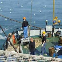 Кадровый вопрос остается одним из наиболее острых для рыбного хозяйства
