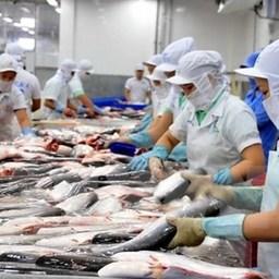 Экспорт рыбопродукции из Вьетнама сокращается из-за коронавируса. Фото с сайта VASEP