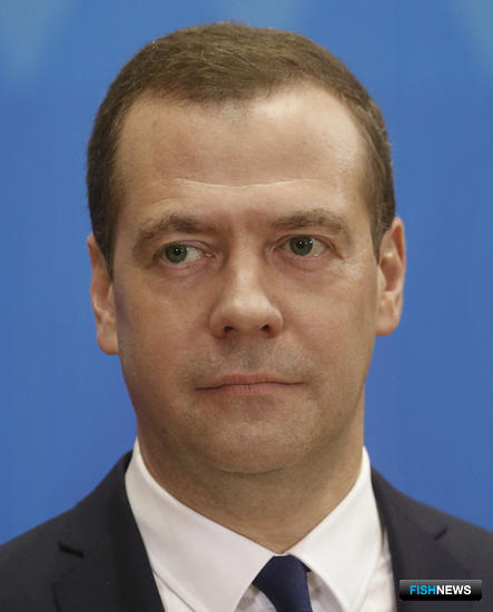 Премьер-министр Дмитрий МЕДВЕДЕВ. Фото пресс-службы Правительства РФ