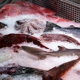 В перечень санкционных товаров входит и рыбная продукция