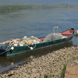 Проблемы с цифровизацией ямальского рыболовства разобрали в арбитраже