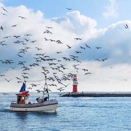 Евросоюз выделил 6,1 млрд евро на поддержку рыболовства и «голубой экономики». Фото пресс-службы ЕК