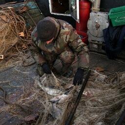 Госдума отклонила законопроект об увязке права на промысел во внутренних водоемах с регистрацией предприятия в соответствующем регионе. Архивное фото