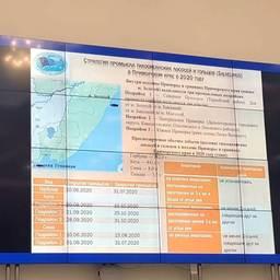 Предлагаемые сроки промысла лососей в Приморье представили на ДВНПС