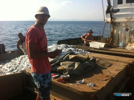 Специалисты Азовского НИИ рыбного хозяйства приняли участие в наблюдении за промыслом черноморского шпрота. Фото пресс-службы института