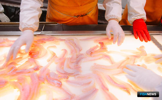 Производство филе минтая на судне «Русской рыбопромышленной компании». Фото пресс-службы РРПК