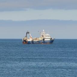 На вывоз судового топлива ввели ограничения