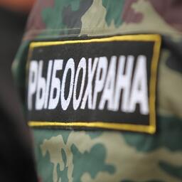 Инспекторов рыбоохраны хотят наделить полномочиями по рассмотрению административных дел в отношении «краснокнижных» видов