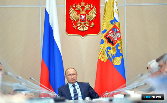 Владимир ПУТИН провел заседание президиума Госсовета по вопросам рыбной отрасли. Фото пресс-службы президента