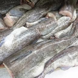Правительство расширило доступ к компенсациям капзатрат для предприятий по переработке рыбы