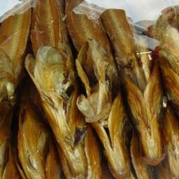 На участках можно будет ловить в том числе деликатесного муксуна. Архивное фото