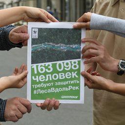 Обращение к главе государства подписали более 163 тыс. россиян. Фото пресс-службы Greenpeace