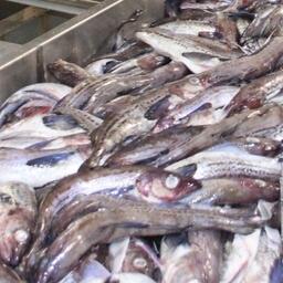 На предстоящий год получили квоты инвесторы как первого, так и второго этапа