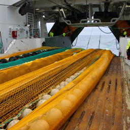 Добытчики креветки в Баренцевом море все чаще используют траловые комплексы от Vónin. Фото предоставлено компанией