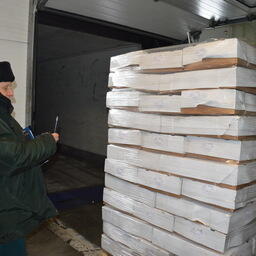 Таможенники изъяли более тысячи коробок стратегически важного товара. Фото пресс-службы ЦТУ