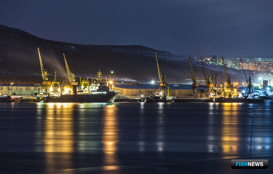 Мурманский морской рыбный порт. Фото Виталия Новикова