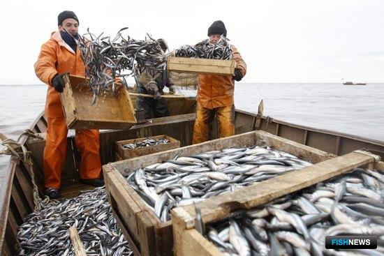 Ненецкие рыбаки на промысле. Фото пресс-службы департамента природных ресурсов, экологии и агропромышленного комплекса НАО